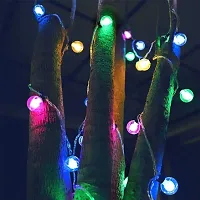 Newton Plastic 14 LED String Lights for Home Indoor Outdoor Decoration, Diwali, Christmas, Festivals, Garden, Balcony (3 Meter)(Multicolor)-thumb4