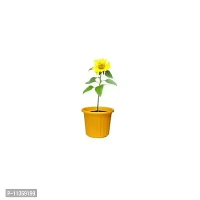 AASHU Round Plastic Planter Pots ,10 Inch,Colour - Yellow-Pack of 1-thumb0