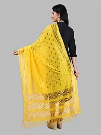 Chiffon Striped Dupatta for Women-thumb1