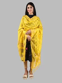 Chiffon Striped Dupatta for Women-thumb2