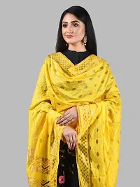 Chiffon Striped Dupatta for Women-thumb3