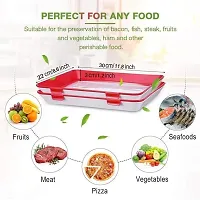 Food Preservation Tray Buy 1 Get 1 Free-thumb2