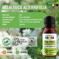 Organix Mantra Australian Tea Tree Essential Oil 15ML-thumb1