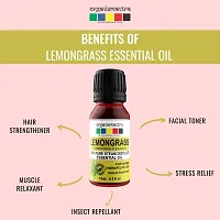 Organix Mantra Kochi Lemongrass Essential Oil 15ML-thumb3