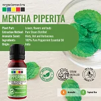 Organix Mantra Indian Peppermint Essential Oil 15ML-thumb1