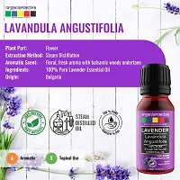 Organix Mantra Bulgarian Lavender Essential Oil 15ML-thumb1