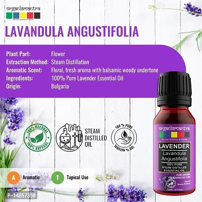 Organix Mantra Bulgarian Lavender Essential Oil 15ML-thumb2