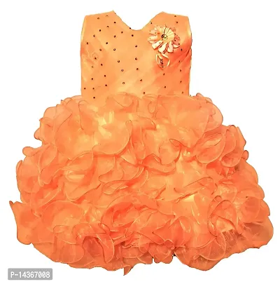 RG Collection Party/Festive/Wedding Baby Girls Dress Orange