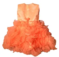 RG Collection Party/Festive/Wedding Baby Girls Dress Orange-thumb1