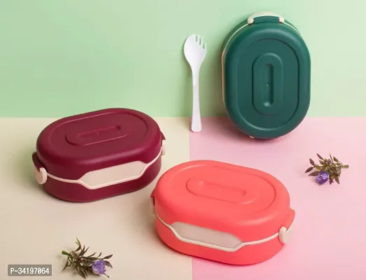 Plastic Compartment Lunch Box