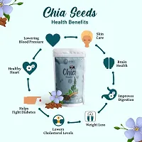 Organic Chia Seeds For Weight Loss - 600gm Pack Of 3-thumb4