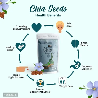 Organic Chia Seeds For Weight Loss - 600gm Pack Of 3-thumb5