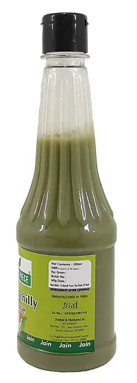 Green Spice  Jain Sauce With No Onion/Garlic Green Chilli Sauce/Catchup .(500gm x 2) (Pack of 2)-thumb1