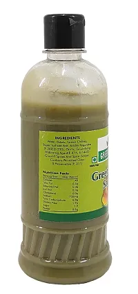 Green Spice  Green Chilli Sauce (500ml) (Pack of 2)-thumb2