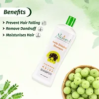 Natural the essence of nature Amla Shikakai Shampoo 500ml Pack Of 2-thumb2