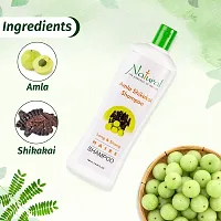 Natural the essence of nature Amla Shikakai Shampoo 500ml Pack Of 2-thumb3