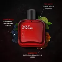 Wild Stone Ultra Sensual Perfume - 100 ml  (For Men)-thumb2