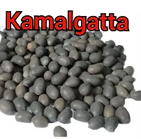 Kamal Gatta Seed, Raw Lotus Seeds (for Pooja, Laxmi Havan, Home Gardening) Rosary of Kamal Gatta, Kamalgatta, Makhana Seed-thumb4