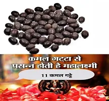 Kamal Gatta Seed, Raw Lotus Seeds (for Pooja, Laxmi Havan, Home Gardening) Rosary of Kamal Gatta, Kamalgatta, Makhana Seed-thumb2