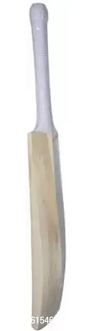 Plan Poplar Willow Cricket Bat Poplar Willow Cricket Bat