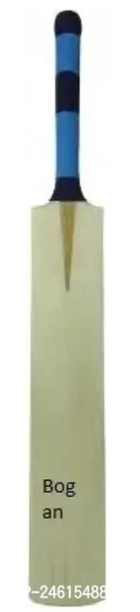 Plan Poplar Willow Cricket Bat Poplar Willow Cricket Bat