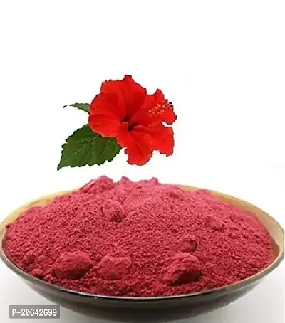 DHPL ORGANIC HIBISCUS POWDER FOR FACE AND HAIR|PACK OF 2|EACH PACK 50 GM|100% ORGANIC-thumb4