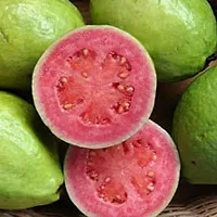 Platone Guava Plant Red Guava Grafted Fruit Plants-thumb1