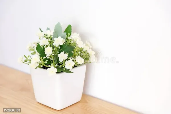 Platone Jasmine Plant E-GRDN_714