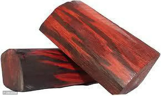 Platone Red Sandalwood Plant RED CHANDAN-thumb3