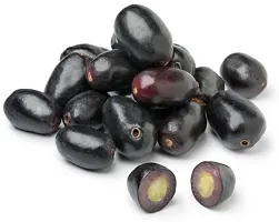 Platone Jamun Plant BlackPlum_Jamun_Plant-thumb1