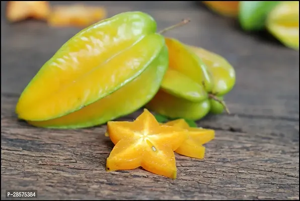 Platone Star Fruit Carambola Grafted Plant LF618