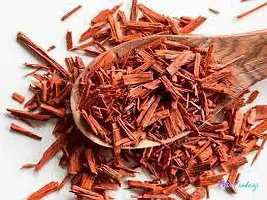 Platone Red Sandalwood Plant RED CHANDAN-thumb1