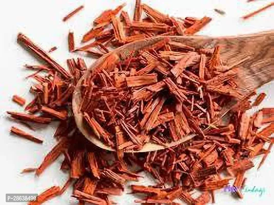 Platone Red Sandalwood Plant RED CHANDAN-thumb2