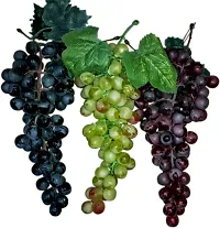 Platone Grape Plant GRAPES PLANT BBVVCC-thumb1