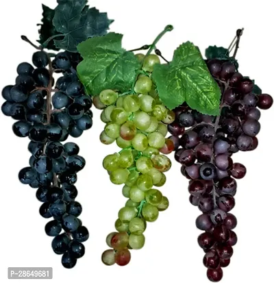 Platone Grape Plant GRAPES PLANT BBVVCC-thumb2