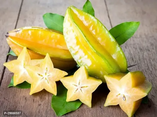 Platone Star Fruit Carambola Grafted Plant HXO-thumb0