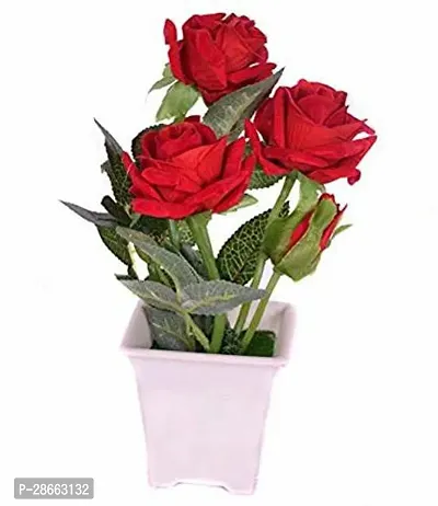 Platone Rose Plant TIGROE64-thumb0