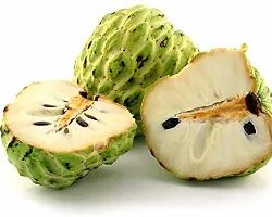 Platone Custard Apple Plant Custard Apple Balanagar Green Sugar Apple Sitafal Ata Fruit Grafted-thumb2