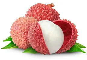 Platone Litchi Plant Litchi Muzaffarpur variety Lychee Large Red Fruit (Air layeredGrafted) Live PlantsTree-thumb2