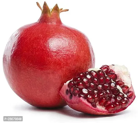 Platone Pomegranate Plant POMEGRANATEBEDANA PLANT-P33-thumb3