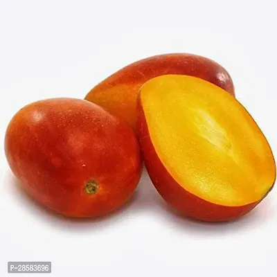 Platone Mango Plant Red mango-thumb0