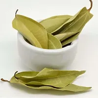 Platone Bay Leaf Plant TEJPATTA28-thumb1