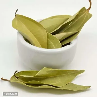 Platone Bay Leaf Plant TEJPATTA28-thumb2