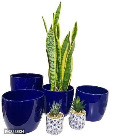 Platone Snake Plant Snake Plant For Home Decorations Best For Natural Air Purification {CF2019-thumb0