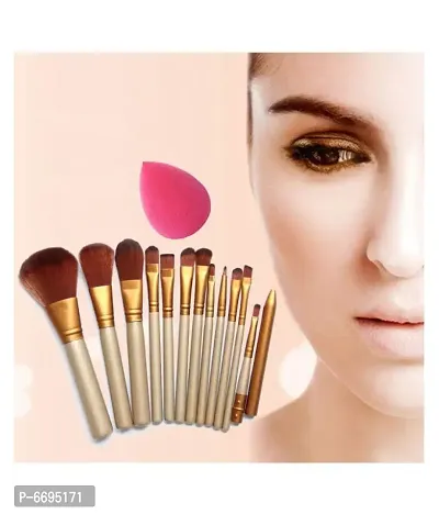 Trendy Skinplus Makeup Brush With Makeup Sponge Synthetic Foundation Brush,Face Contour Brush 1 Gm