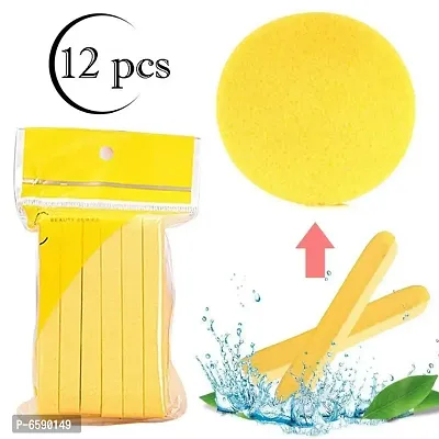 Lenon Beauty Makeup Sponge Hivey Pack of 12 Yellow