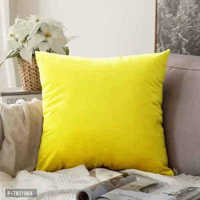 Khooti Velvet Cushion Cover