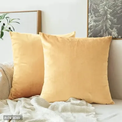 Khooti Velvet Cushion Cover-thumb2