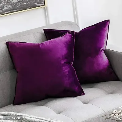 Khooti Decorative C2 Velvet Cushion Cover (Pack of 2)