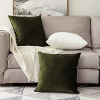 Khooti Velvet Cushion Cover (Pack of 2)-thumb3